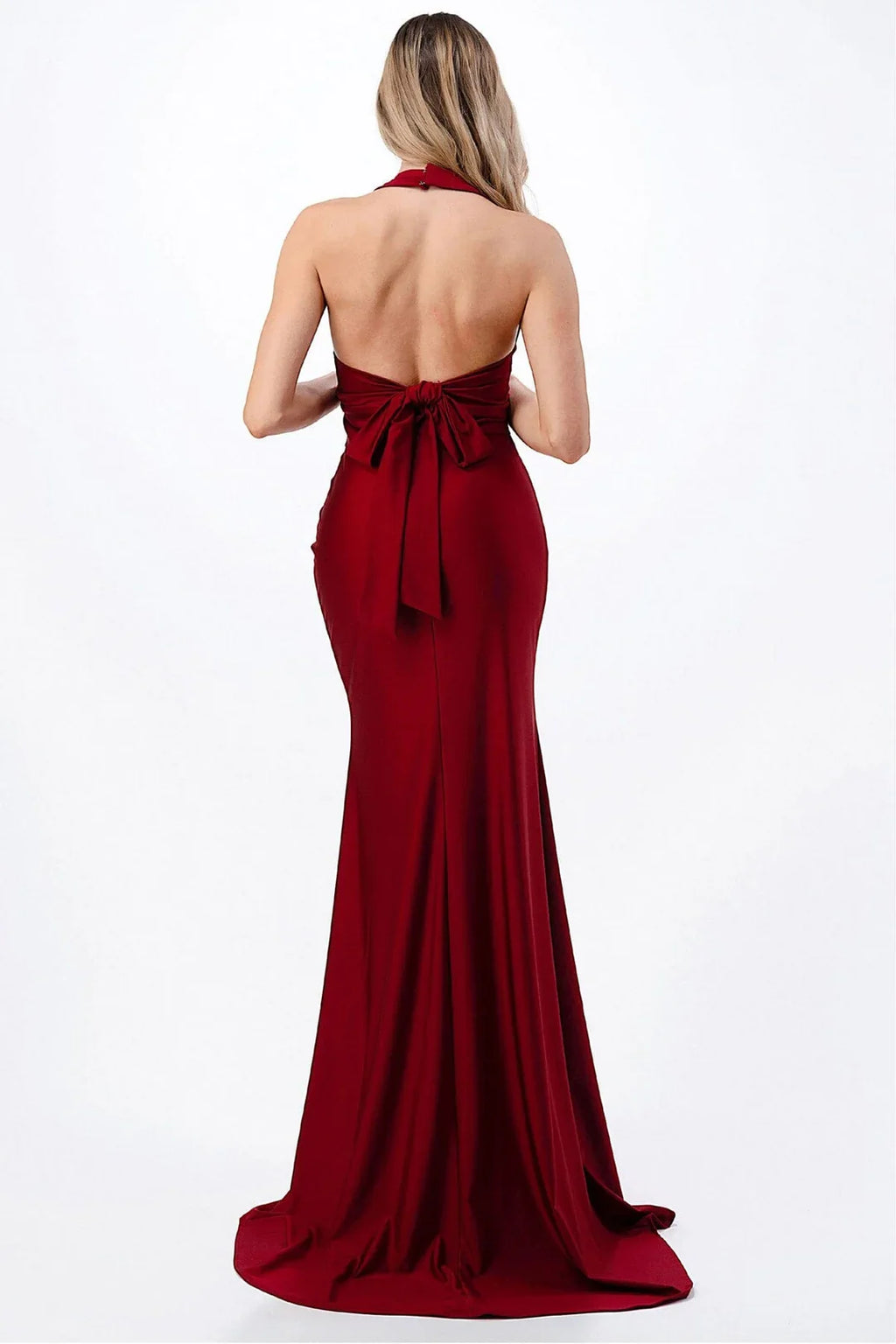 V-Neck Dress - Chloe Dress