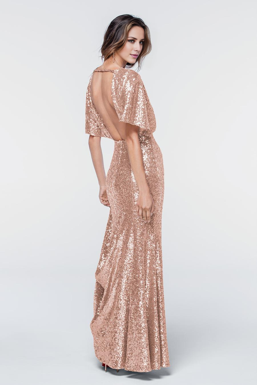 V-Neck Sequin Short Sleeve Backless Floor-Length Evening Dress - Chloe Dress