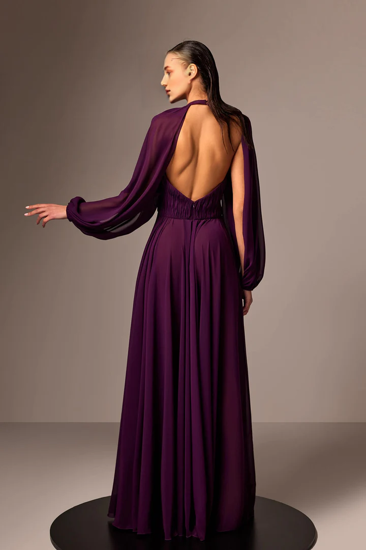 Chiffon Pleated Floor-Length Evening Gown - Chloe Dress