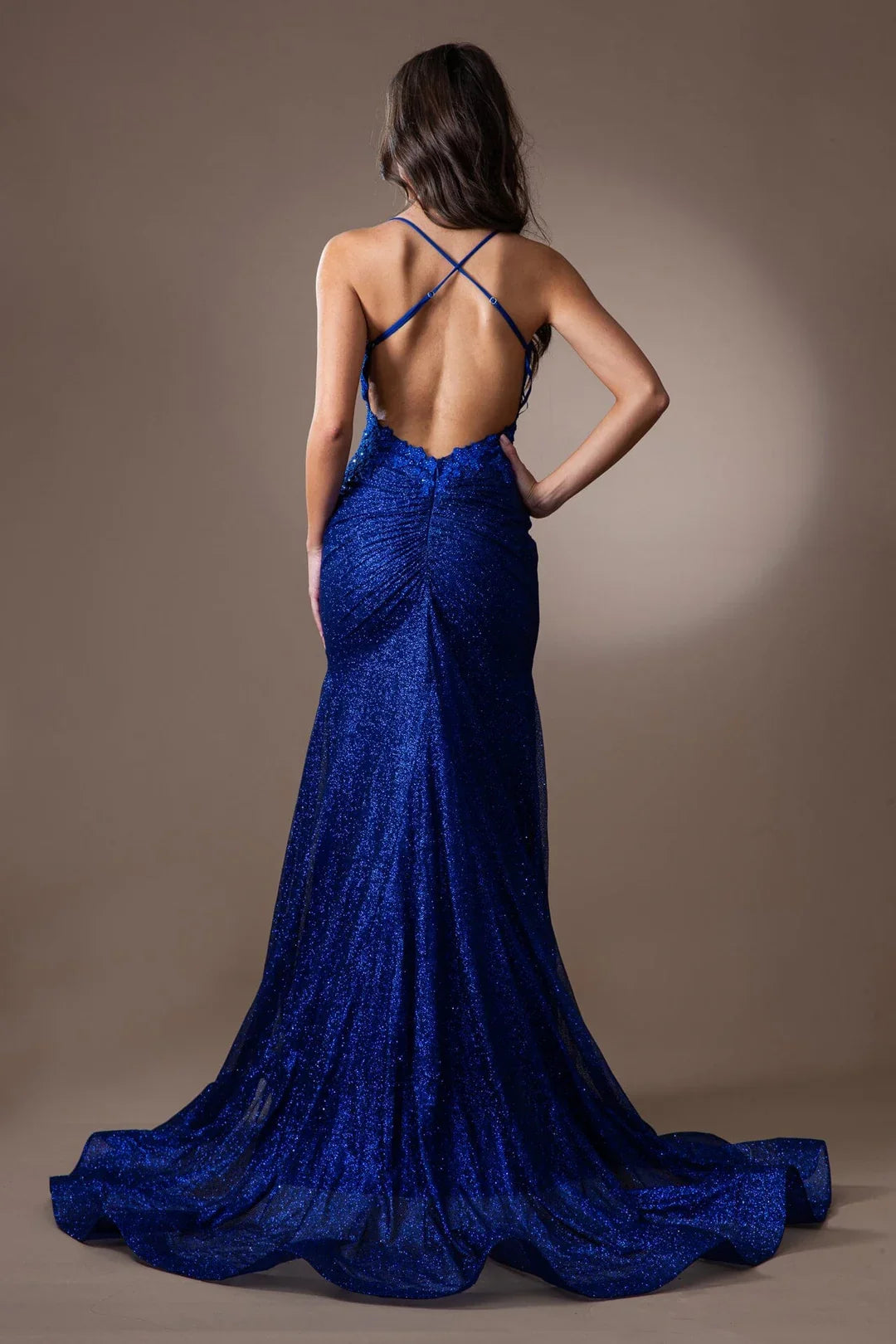 Sequin Long Sleeve Embroidered Dress - Chloe Dress