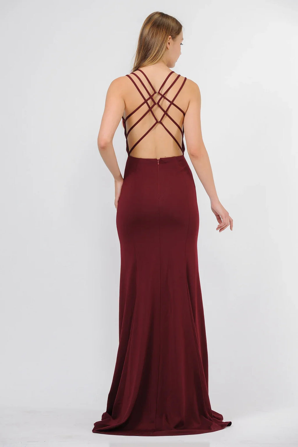 Illusion Lace Backless Dress - Chloe Dress