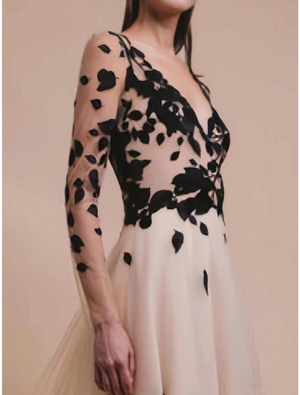 Champagne A-Line V-Neck Tulle Long Sleeve Train Evening Gown - Chloe Dress