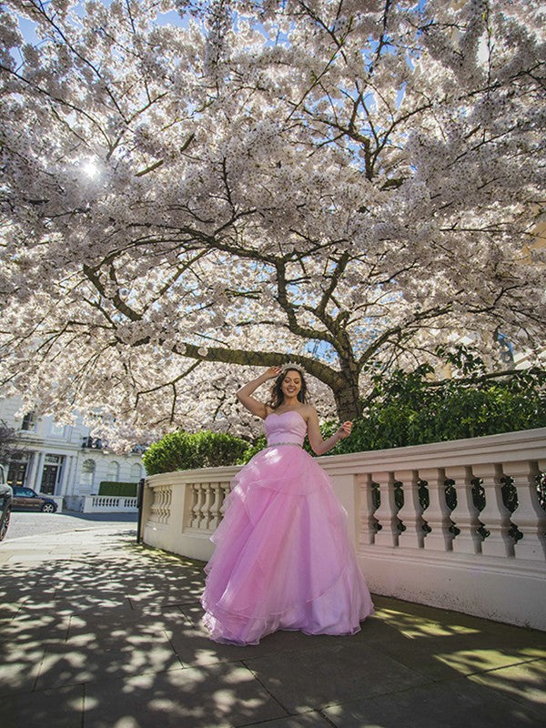Ball Gown Sweetheart Organza Sleeveless Floor-Length Gown - Chloe Dress