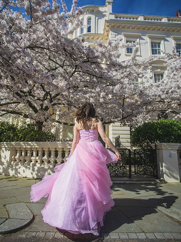 Ball Gown Sweetheart Organza Sleeveless Floor-Length Gown - Chloe Dress
