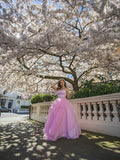Ball Gown Sweetheart Organza Sleeveless Floor-Length Gown - Chloe Dress