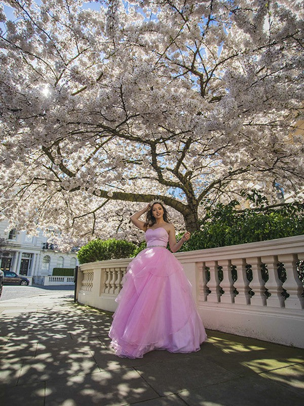 Ball Gown Sweetheart Organza Sleeveless Floor-Length Gown - Chloe Dress