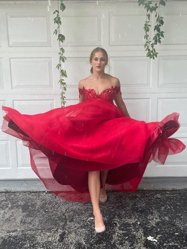 A-Line Tulle Sleeveless Applique Floor-Length Dress - Chloe Dress