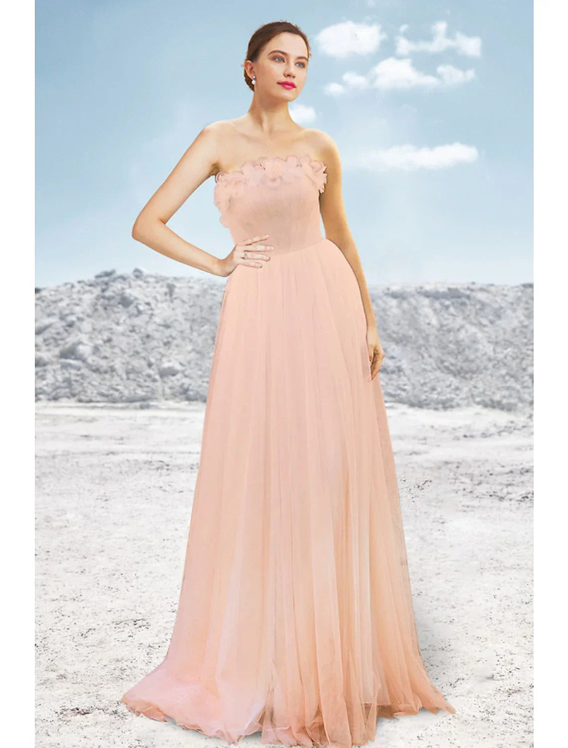 A-Line Strapless Tulle Sleeveless Pleated Evening Gown - Chloe Dress