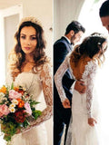 Sheath V-Neck Lace Long Sleeve Train Wedding Dress - Chloe Dress
