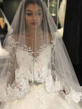 Ball Gown Tulle Long Sleeve Train Wedding Gown - Chloe Dress