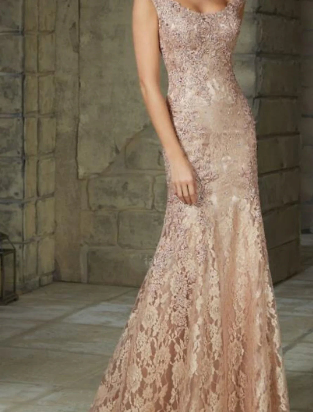 Mermaid Lace Sleeveless Floor-Length Evening Dress - Chloe Dress