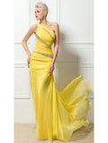 Sheath One-Shoulder Chiffon Sleeveless Backless Train Evening Dress - Chloe Dress